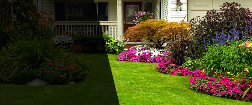 Star Landscapers